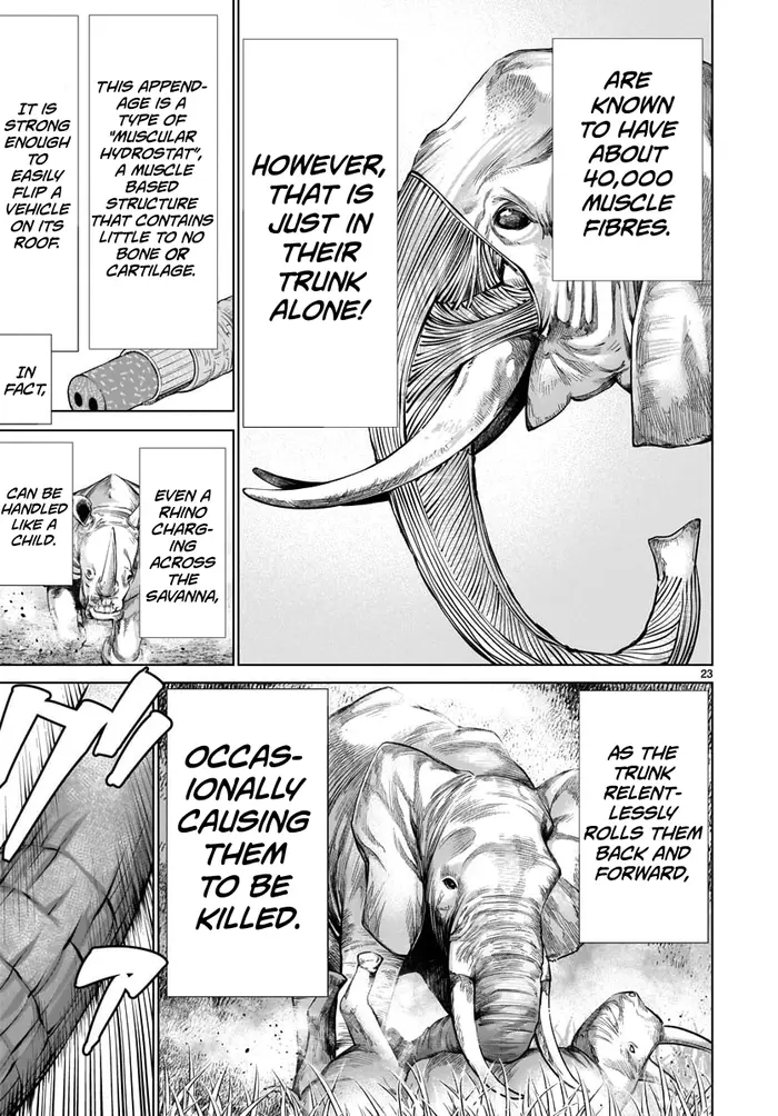 Killing Bites Chapter 80 image 19_optimized